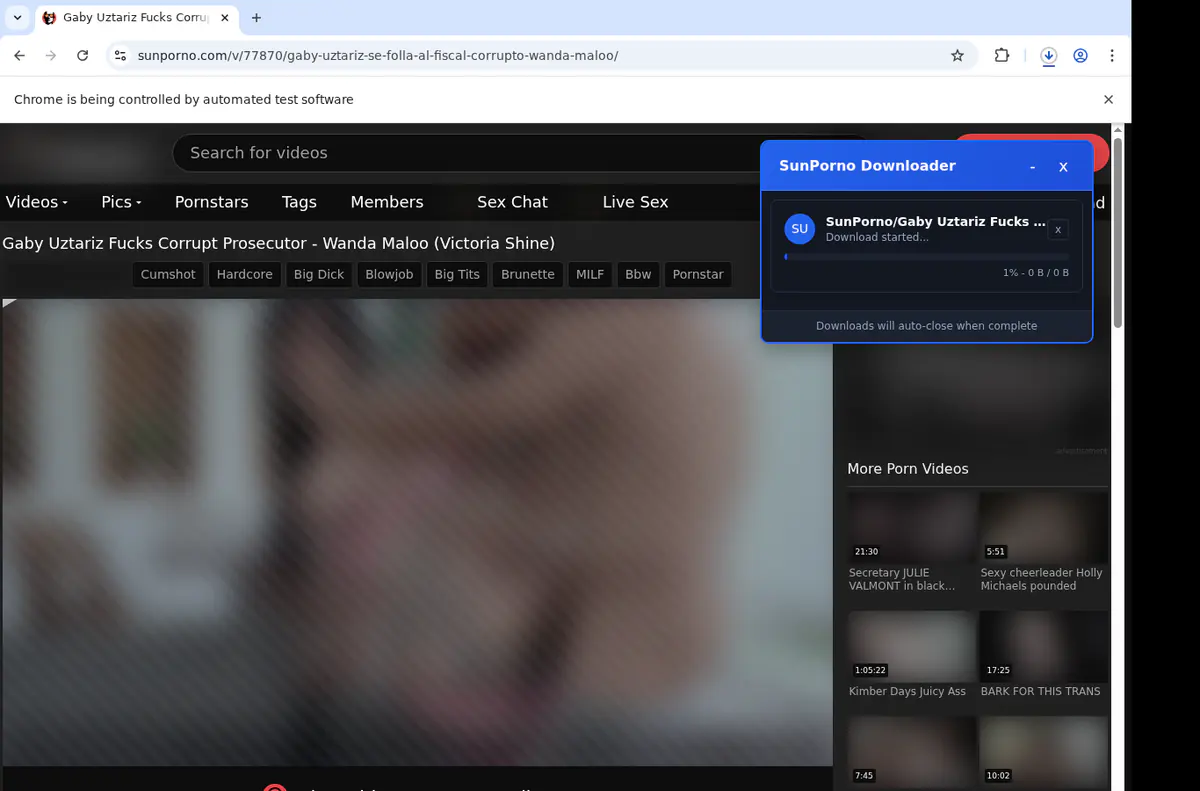Sunporno Video Downloader browser extension screenshot 3