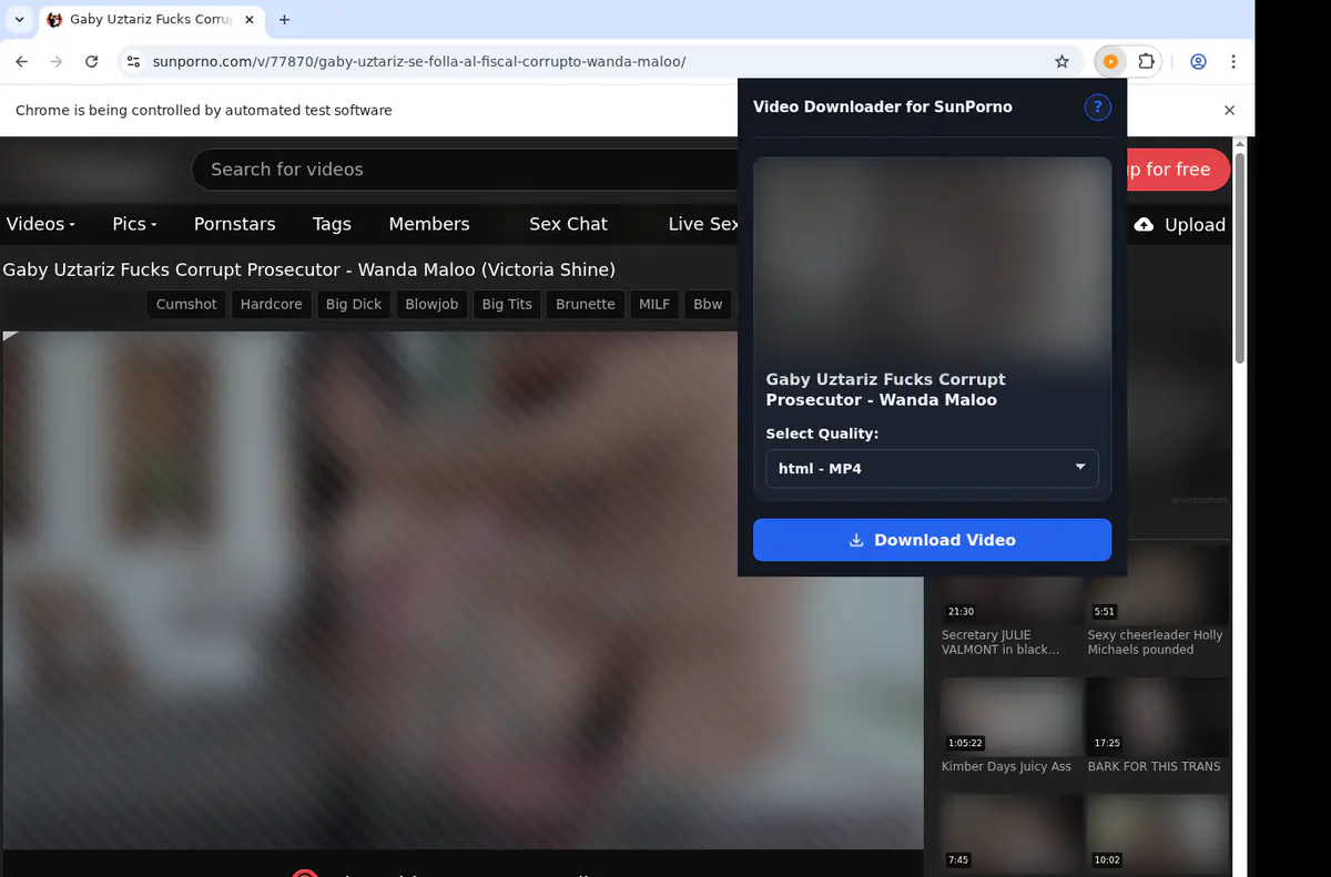 Sunporno Video Downloader browser extension screenshot 4